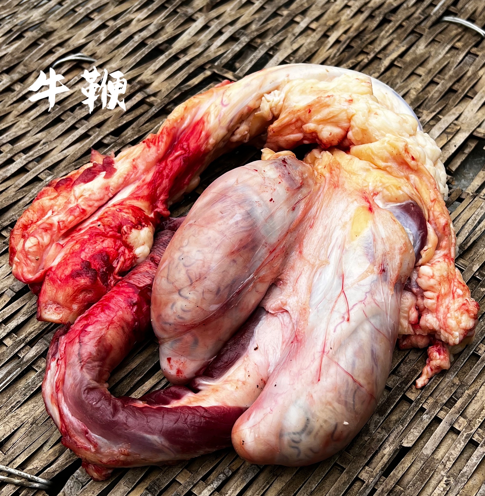 （牛鞭）农村放养土黄牛