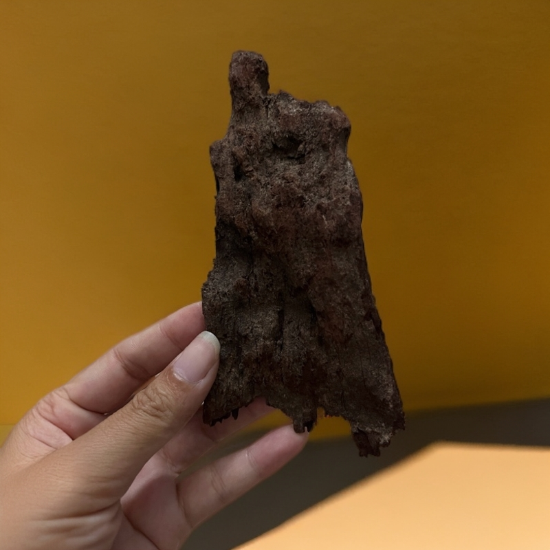 海南花梨公熏香小料