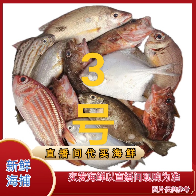 无品牌【十哥】３号连接北海码头直播代购海鲜现拍现称拼单5斤起发货