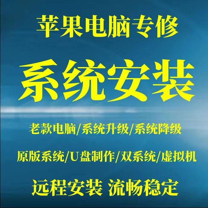 C盘清理系统安装系统优化重装远程维修