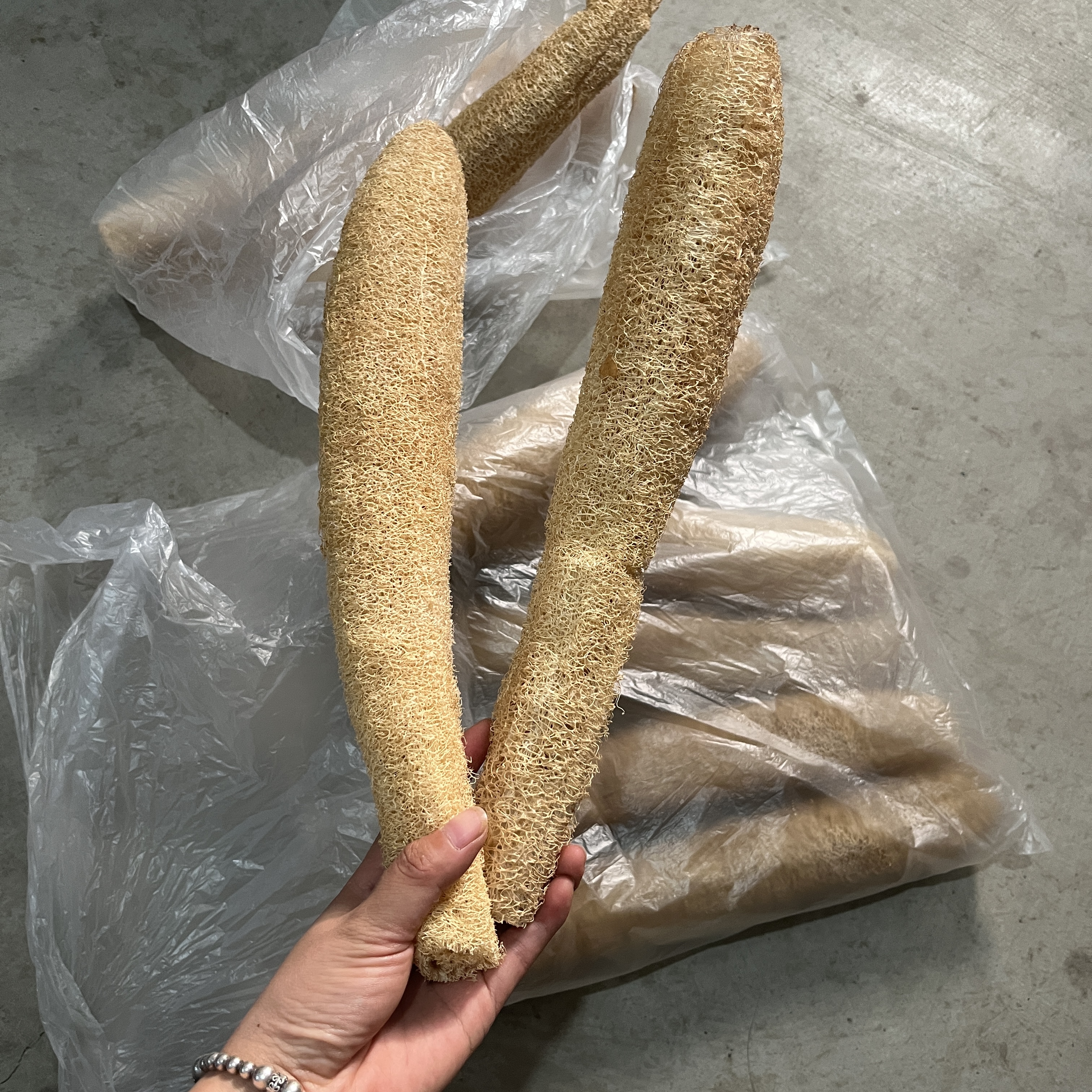 农家丝瓜瓤洗碗神器