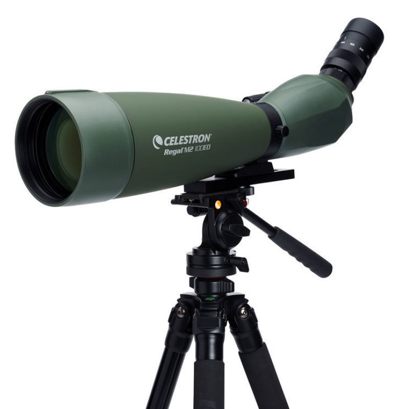 CELESTRON/星特朗锐高望远镜Regal 22-67x100ED观鸟镜APO专业级