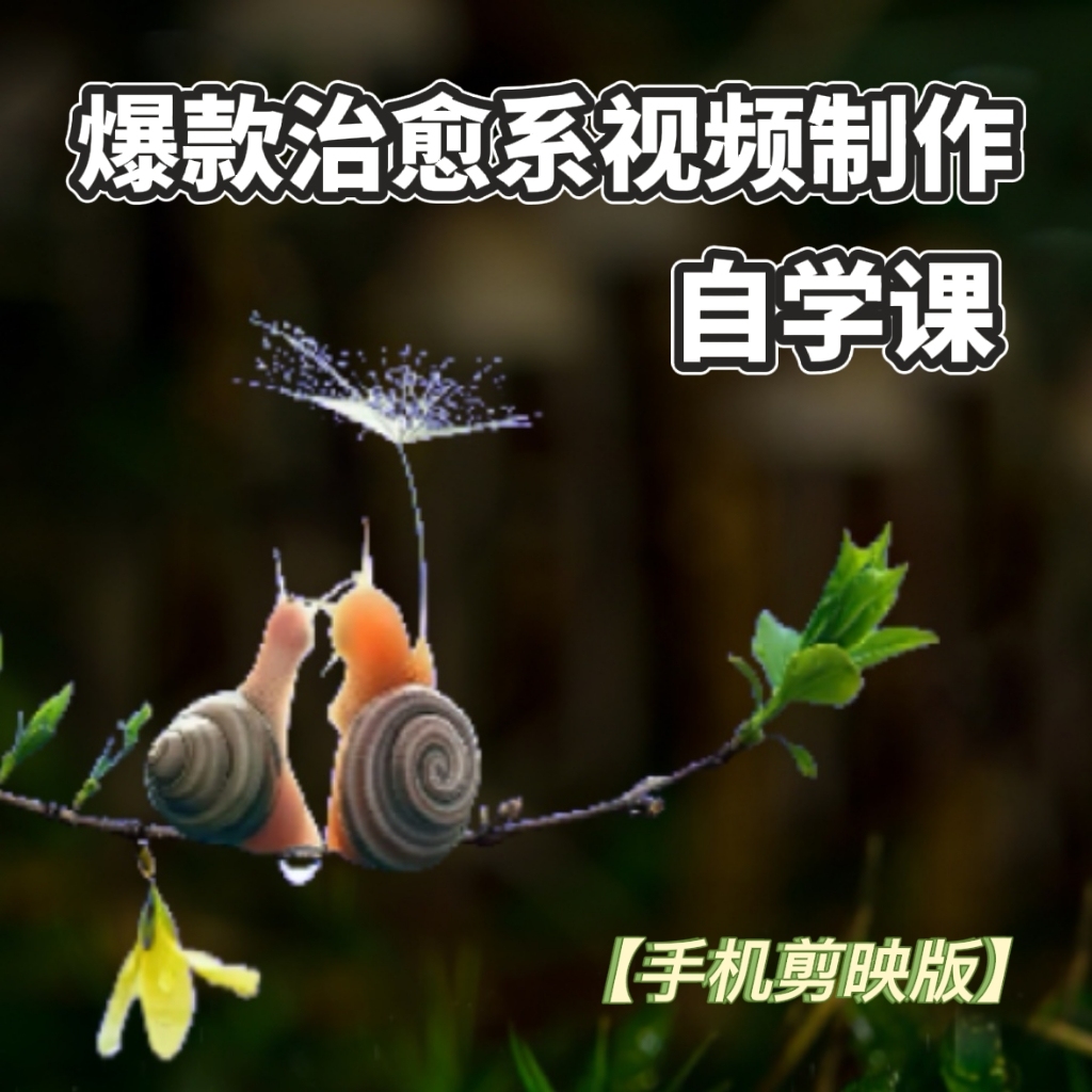 BK治愈系综合教学(视频制作+运营+直播)
