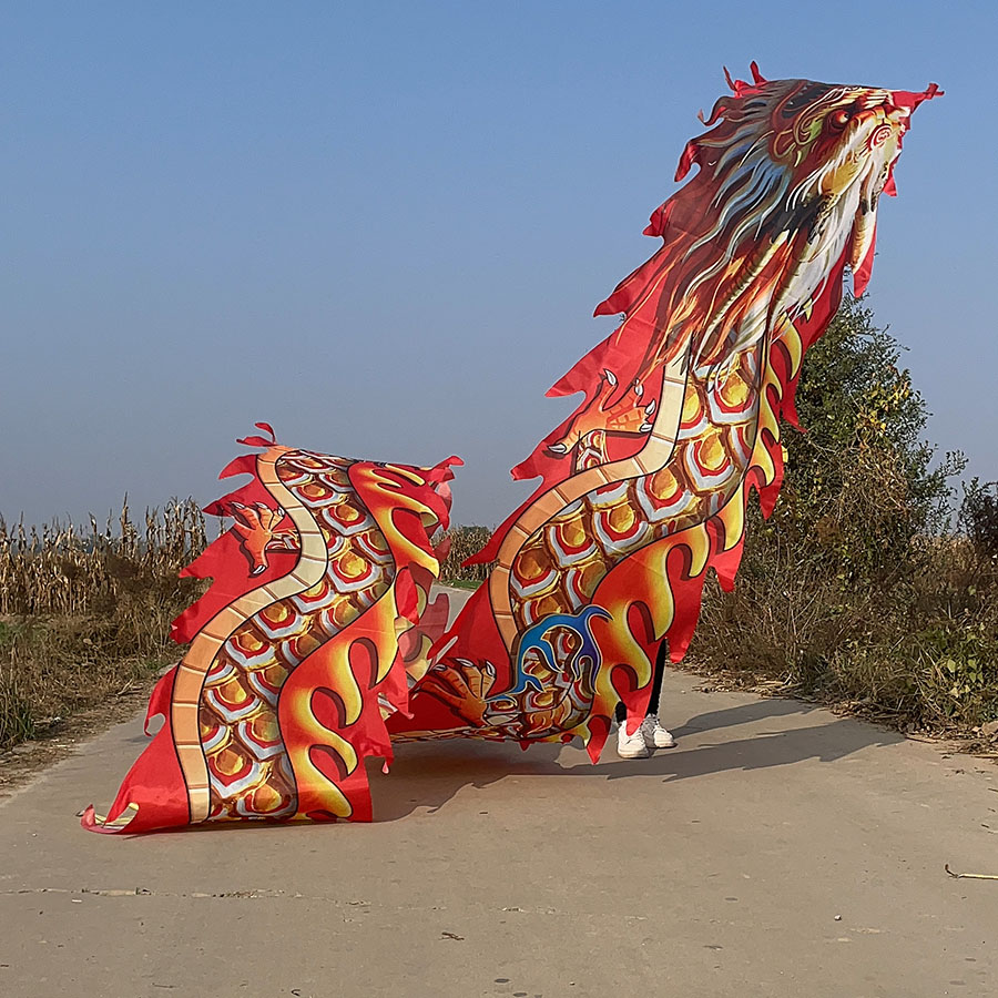 4号格曼一体直播间专属龙衣舞龙广场舞龙彩带甩龙