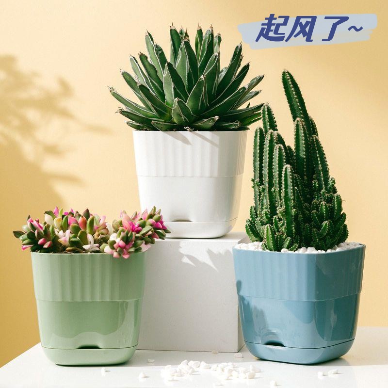 最新款北欧树脂塑料大号多肉植物小花盆厂家直销新款花卉盆栽专用