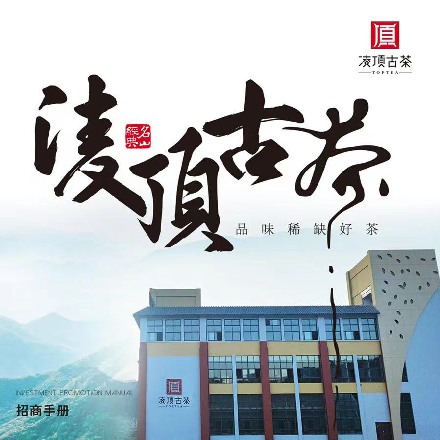 凌顶代拍 刮风寨茶王树生散茶 2020年 礼包好茶 2025.2.7