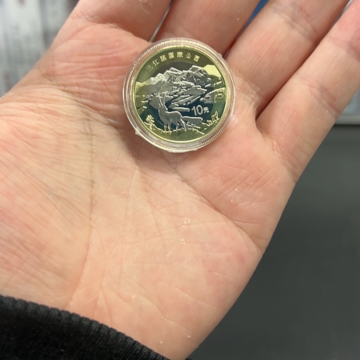 【闪购商品】其他三江源纪念币