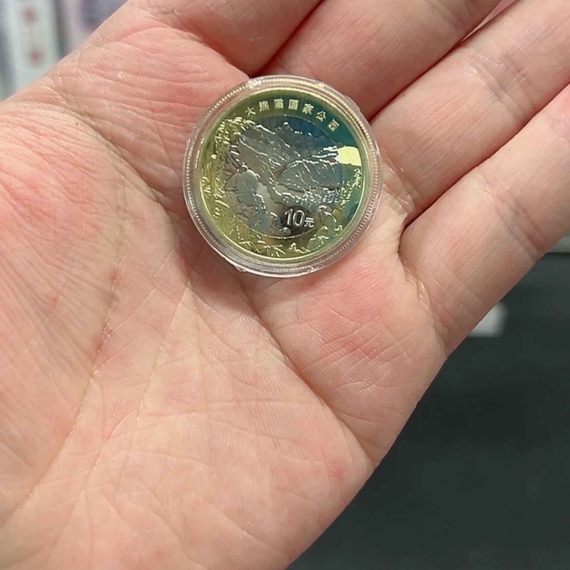 【闪购商品】其他大熊猫纪念币