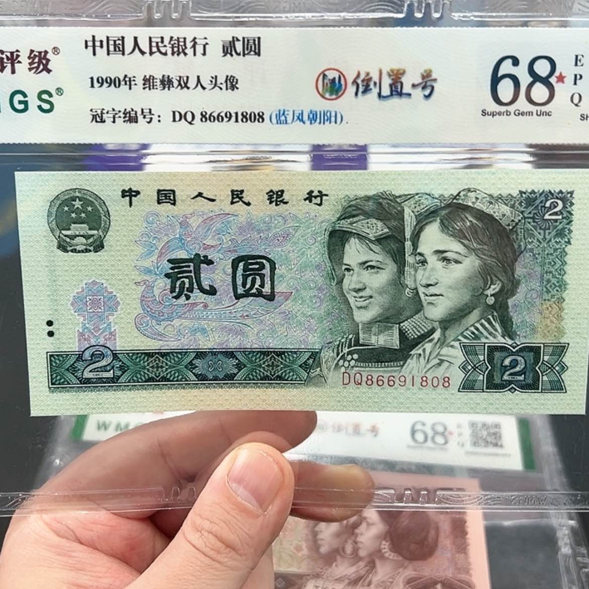 【闪购商品】902蓝凤倒置号68