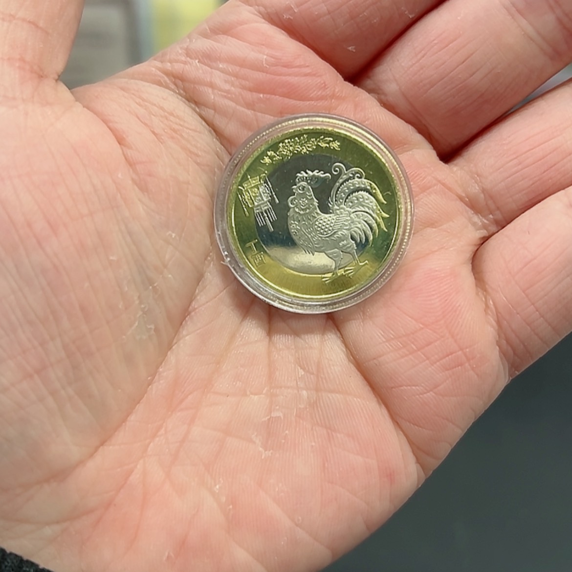 【闪购商品】其他二轮鸡纪念币