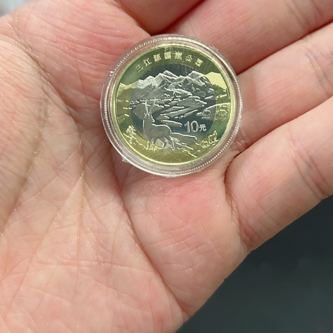 【闪购商品】其他三江源纪念币