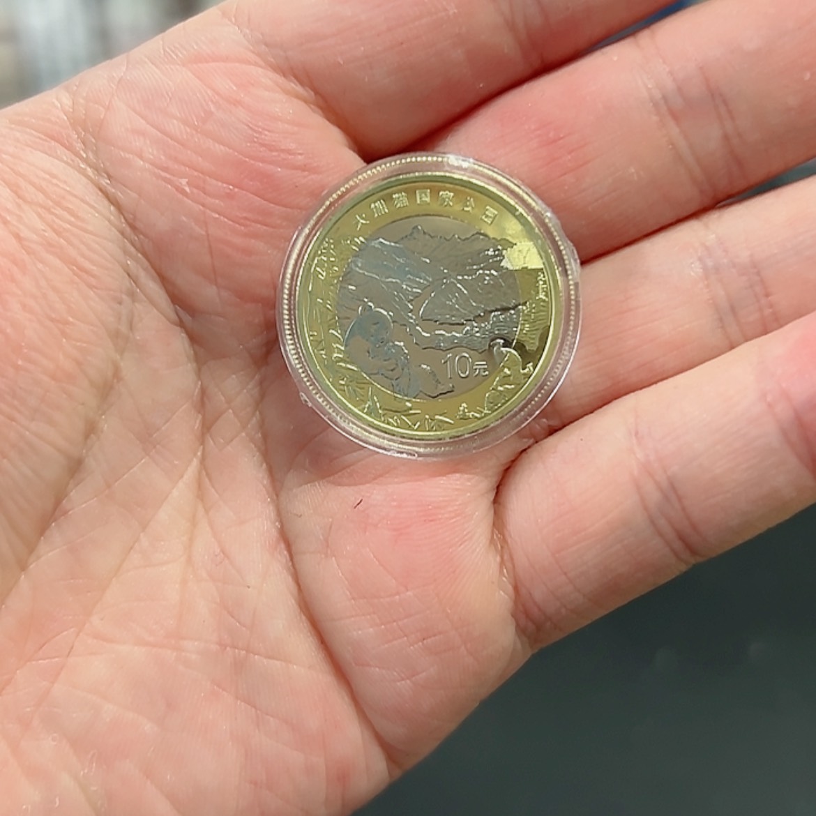 【闪购商品】其他大熊猫纪念币