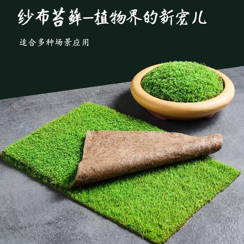 纱布短绒苔藓水陆缸送视频教程