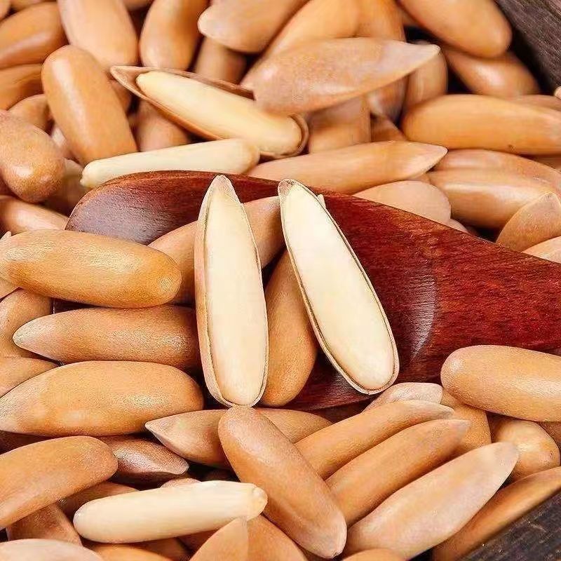 新货手剥巴西松子特大颗粒原味罐装250g/10g干果孕妇坚果零食年货