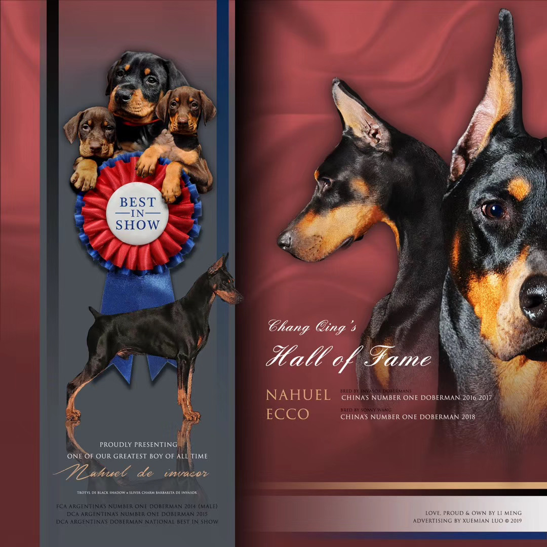 【常青杜宾优选】必备用品清单（狗粮、营养品、驱虫）