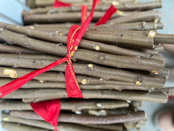 （老师推荐）桃木棍原木家居摆件