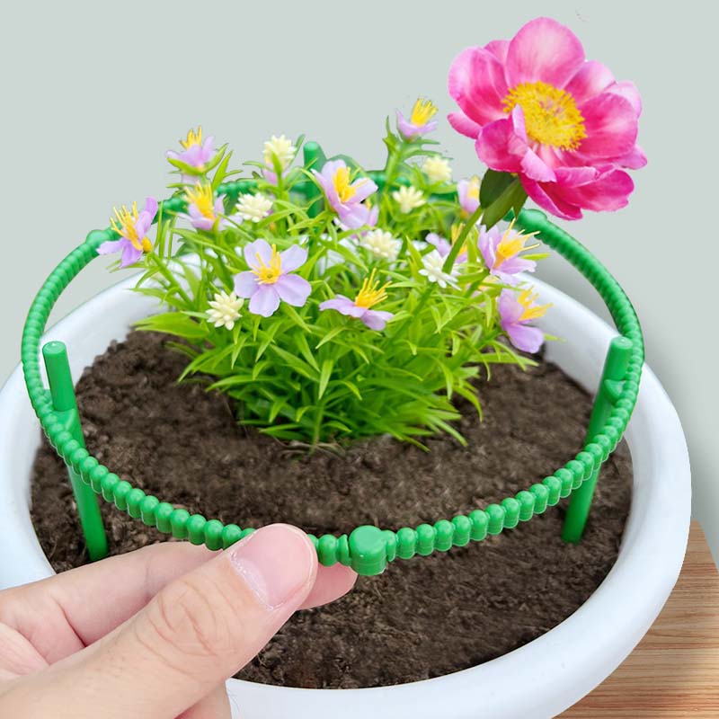 架防倒造型花架花卉简约家用爬藤固定支架圈圆形室内盆栽专用撑花