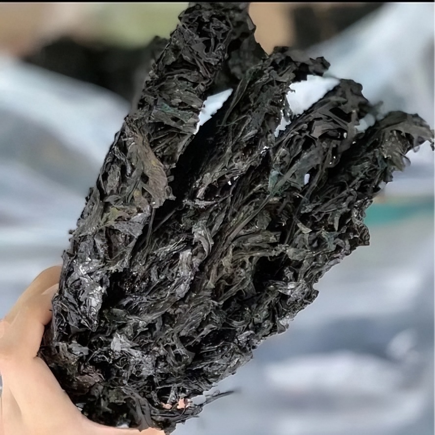 头水紫菜 烤紫菜干货[无沙鲜嫩紫菜] 新鲜营养干净250克/500克