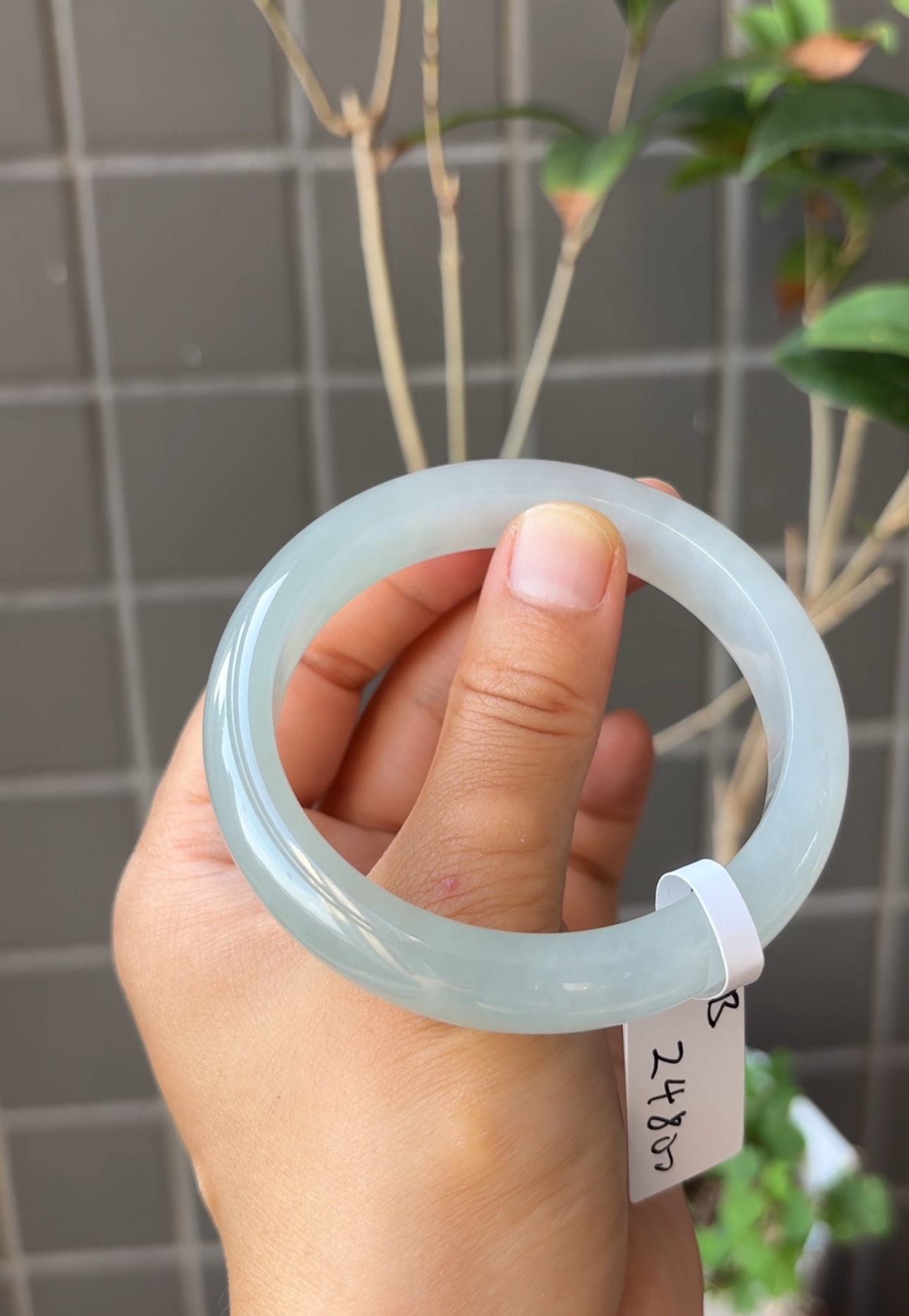 B（上新）冰透浅茶正圈56.5圈缅甸翡翠a货手镯