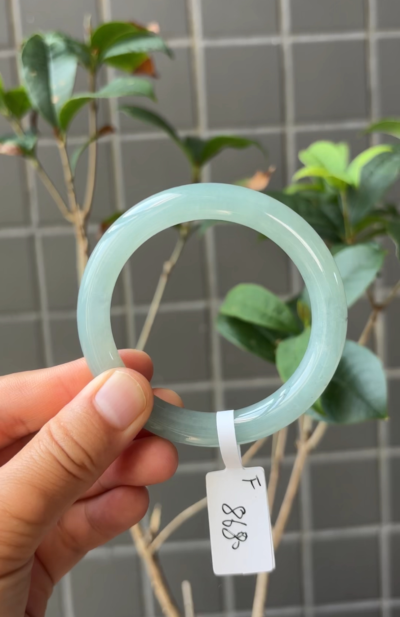 F（上新）冰透湖水绿圆条52圈强推缅甸翡翠a货手镯