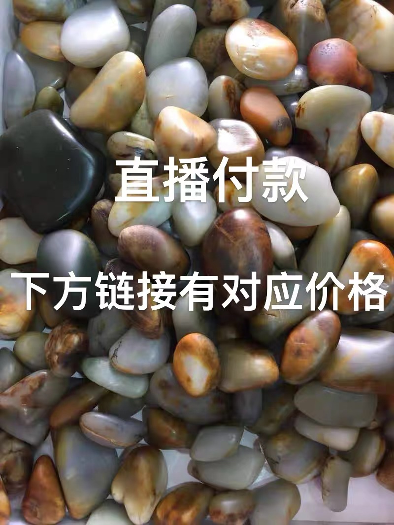 盆景石奇石戈壁石多样性发货