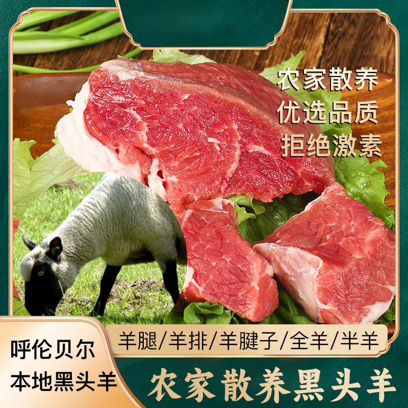 【羊肉链接】呼伦贝尔牧场散养精选新鲜羊肉3斤起包邮