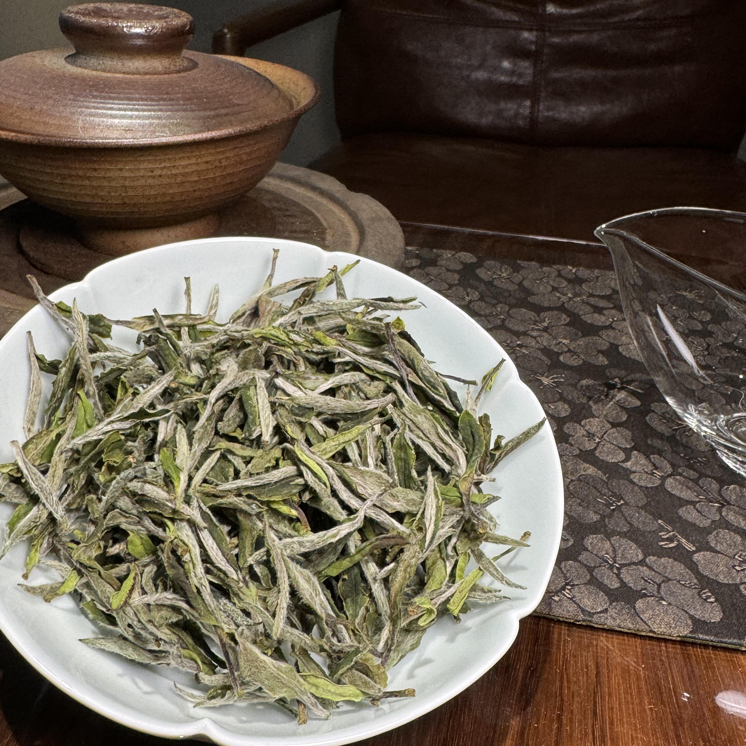 2024太姥山︱特牡︱毫香花香奶香蜜甜香甜清甜香甜落水老树华茶一号