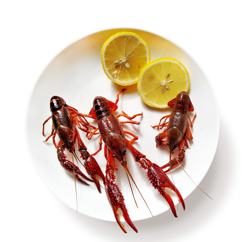 隔夜 鲜活小龙虾7斤（1斤20-30只左右）