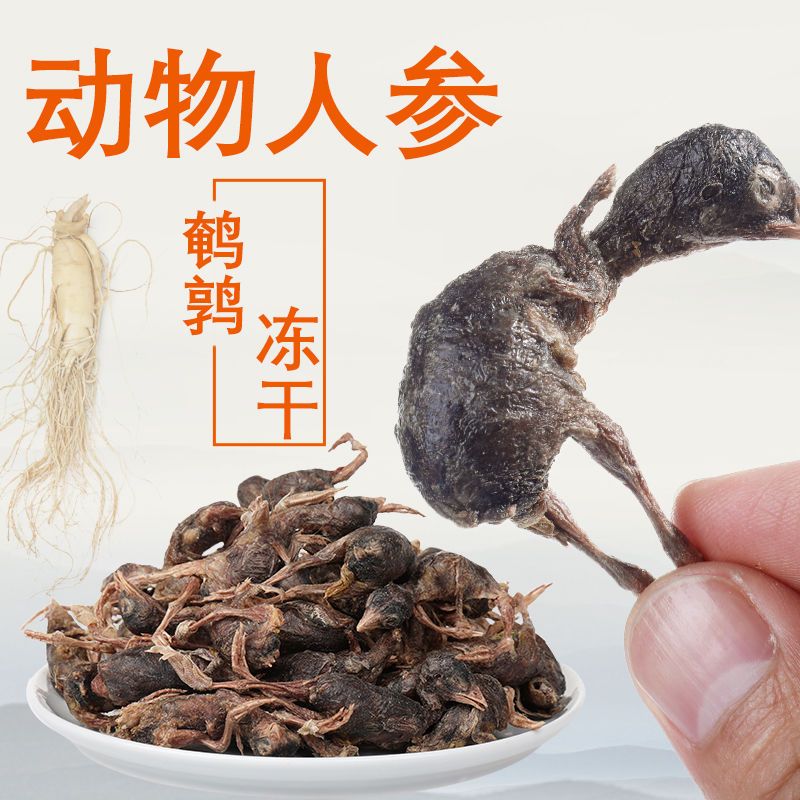 好物冻干鹌鹑猫狗补钙鹌鹑冻干零食猫咪发腮增肥狗狗生骨肉低脂冻