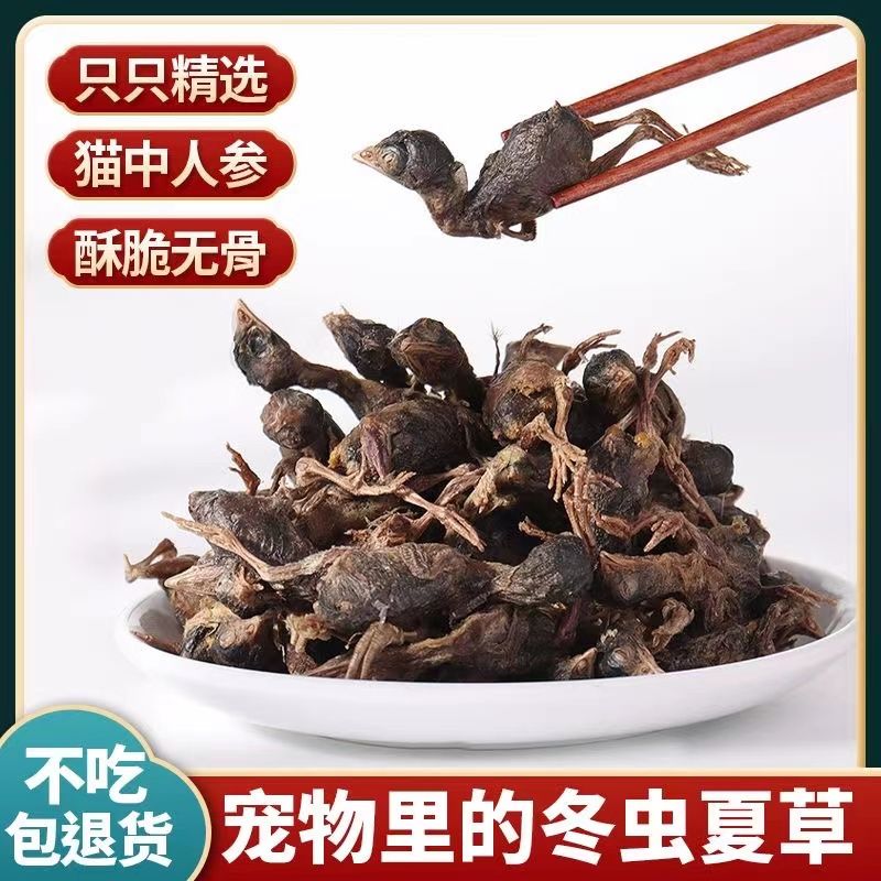 猫狗增肥发腮补钙冻干鹌鹑猫零食营养宠物猫咪狗狗通用零食猫粮生