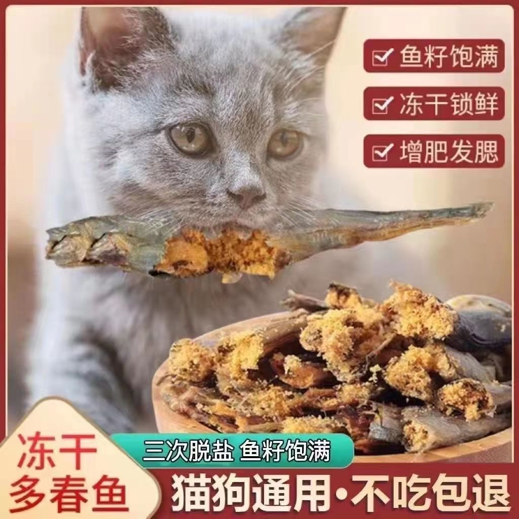 猫狗冻干多春鱼猫咪零食增肥发腮成幼猫补钙营养零食三次去盐多籽