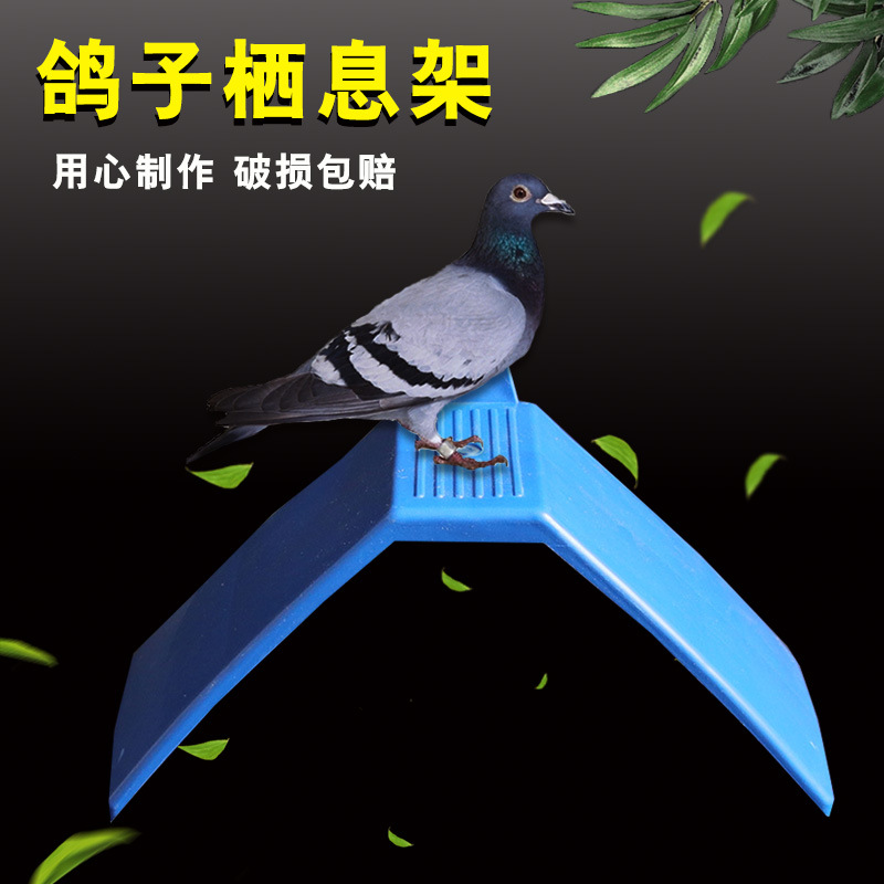 塑料栖架鸽子站架栖息站架放飞笼鸽具鸟用栖息架赛鸽用具