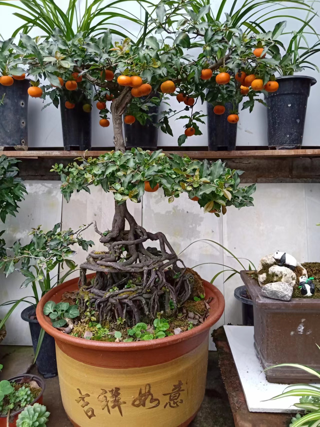 绿色盆栽园林艺术