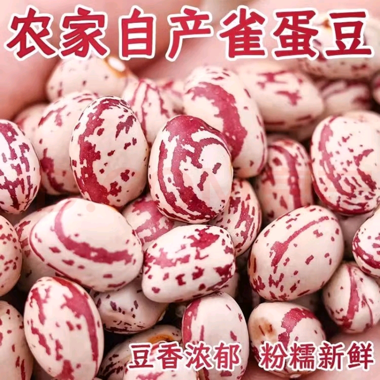 贵州豆米，饱满酸菜豆米，红豆米，雀儿豆，四季豆酸菜豆米农家种植