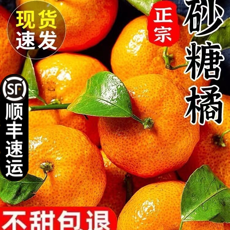 【芹语专属】顺丰包邮沙糖桔无籽水果薄皮特级桔子砂糖橘小橘子新鲜