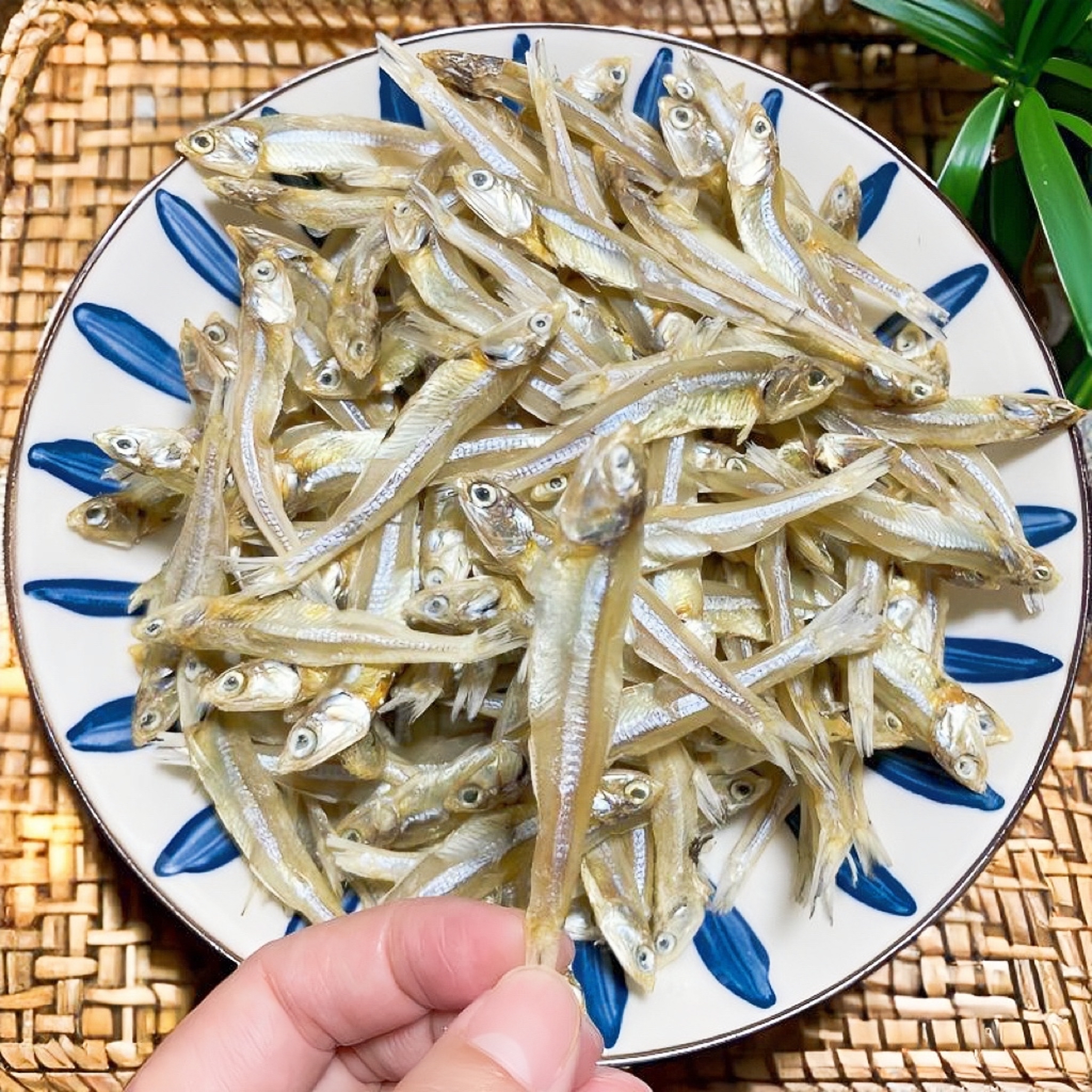 白帆鱼干公鱼仔渔民自晒银鱼干海鱼海鲜干货炒菜红烧香煎小鱼干