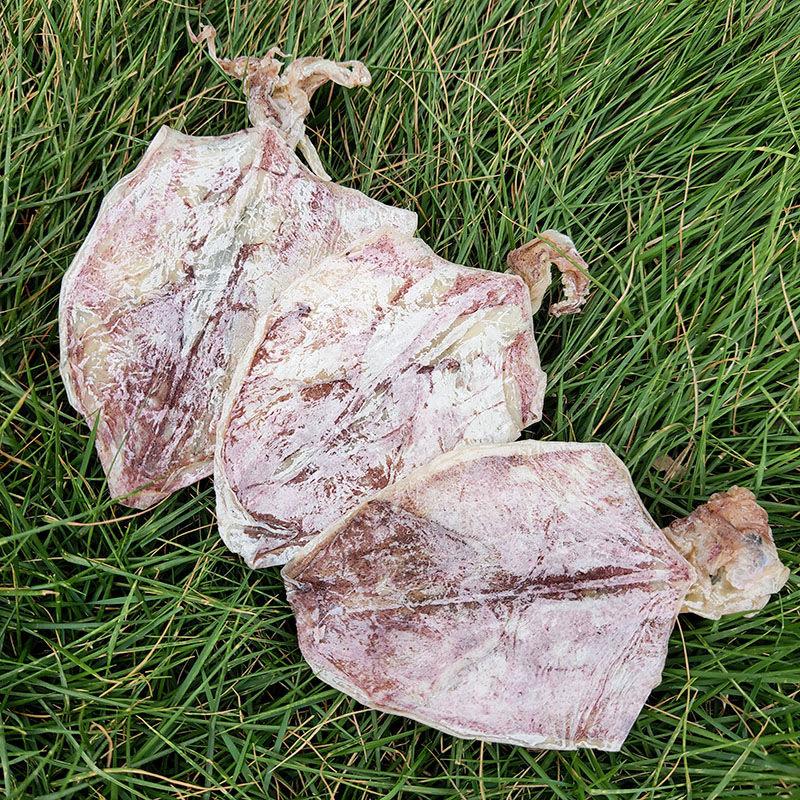 北海鱿鱼干烧烤专用手撕小鱿鱼干货酒吧KTV碳烤芥末淡干鱿鱼海鲜