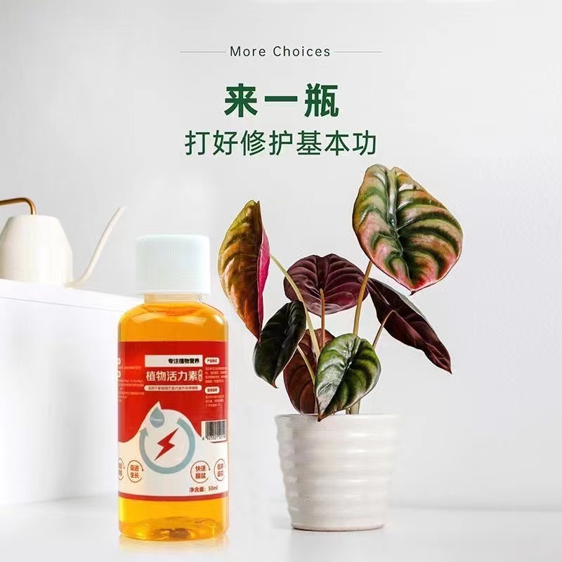植物活力素营养液通用养花生根促花生长神仙水盆栽园艺植物活力素