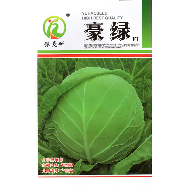 豪绿包菜种子秋播早熟抗病无蜡粉色绿圆球形甘蓝种子圆采摘园