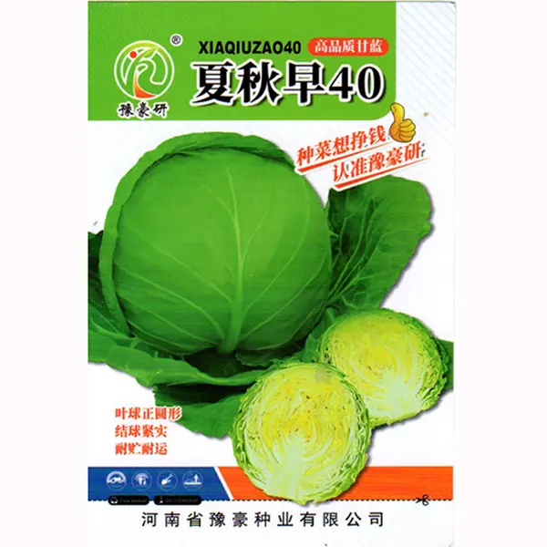 夏秋早40早熟夏秋圆球甘蓝种子玉米抗热耐热脆嫩蜡粉少耐抽薹种植