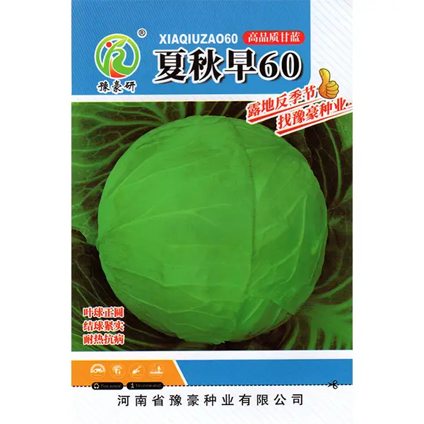 豫豪研夏秋早60早熟夏秋圆球甘蓝种子抗热耐热脆嫩蜡粉少番茄种子