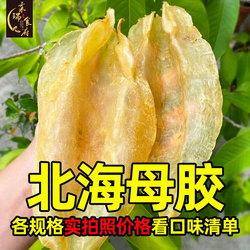 柔瑞食府 北海母 北海公 鱼胶花胶孕妇月子软糯多胶滋补天然好吃