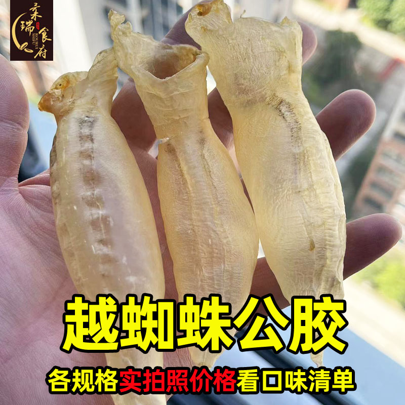 柔瑞食府 越蜘蛛公胶筒 功效全面 对咳咳有好处天然滋补炖汤营养