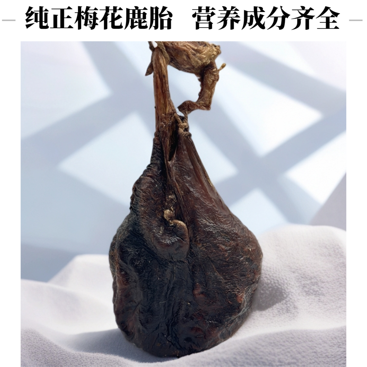 【精选】梅花鹿 干鹿胎（整胎）纯原胎原衣 可打粉
