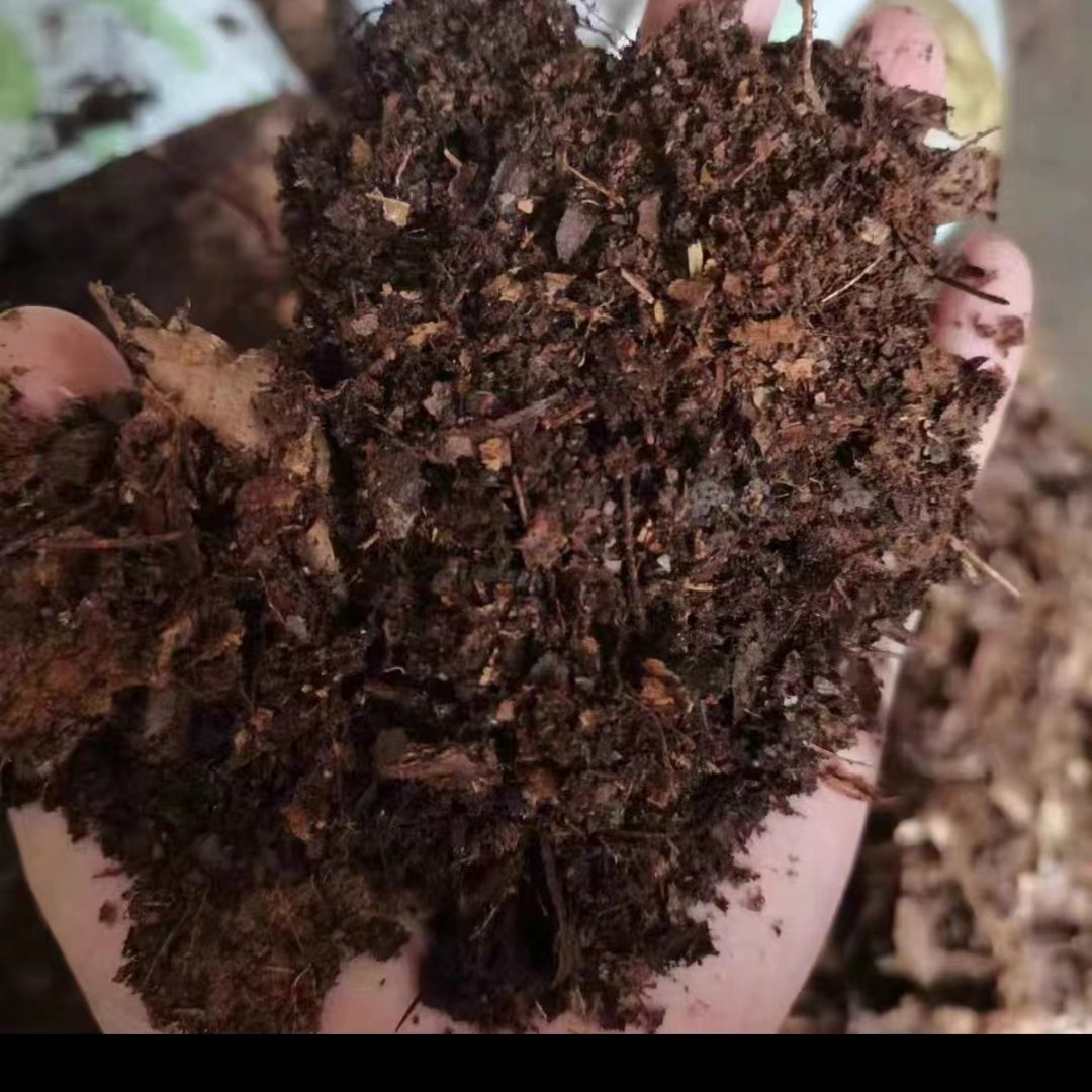 君子兰专用营养土腐叶土