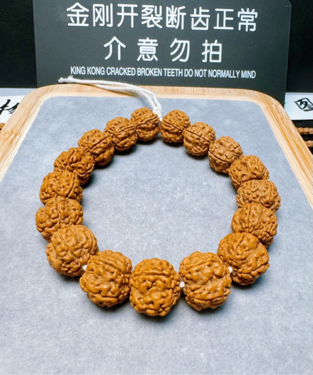 印度尼西亚小金刚霸王龙