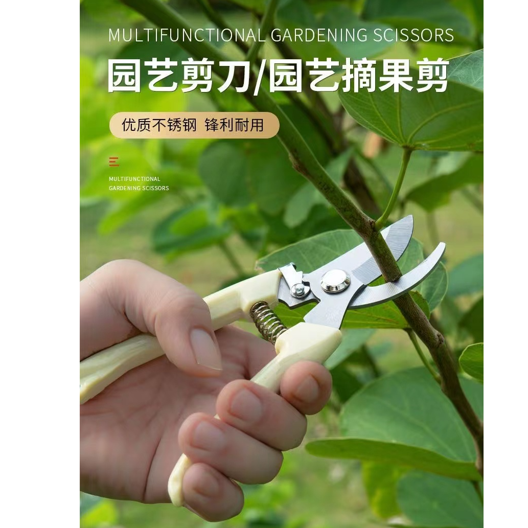 园艺剪小剪刀家用修剪草坪花草修树枝