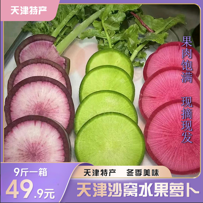 【天津特产】沙窝萝卜+凤梨萝卜+冰淇淋萝卜9斤 产地现摘直发