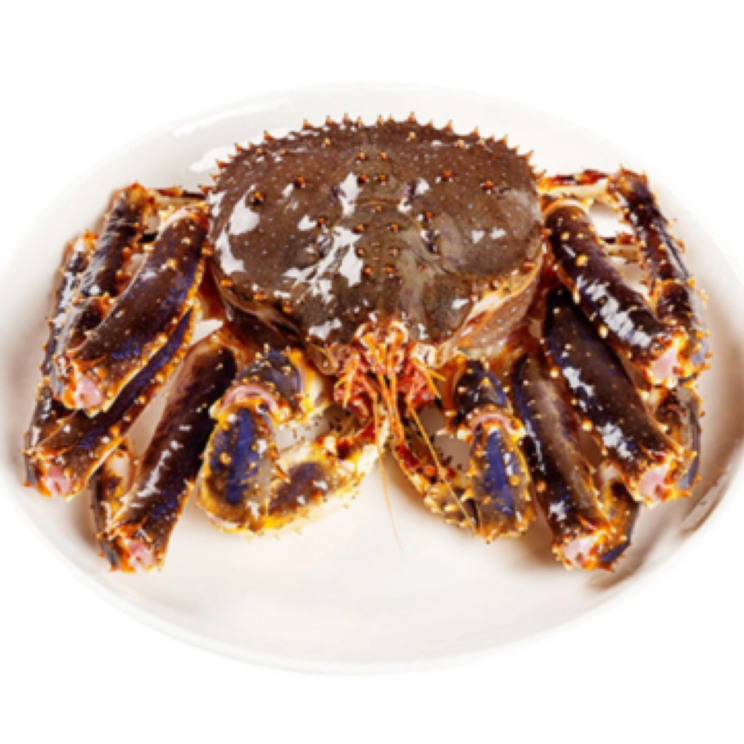 鲜活帝王蟹（打氧发出）1只2000-2250克左右