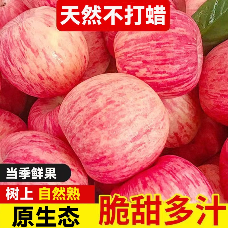 当季陕西红富士苹果新鲜水果5斤苹果脆甜不打蜡冰糖心丑苹果